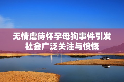 无情虐待怀孕母狗事件引发社会广泛关注与愤慨