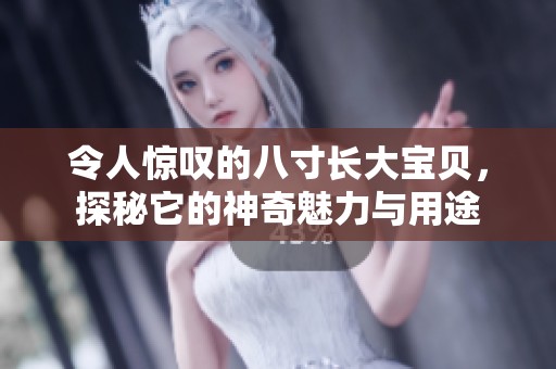 令人惊叹的八寸长大宝贝，探秘它的神奇魅力与用途
