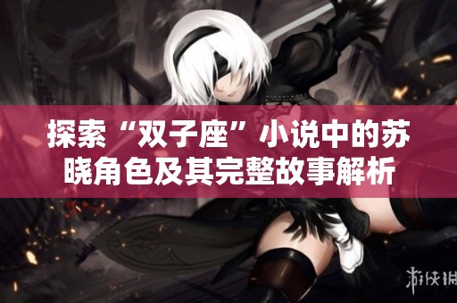 探索“双子座”小说中的苏晓角色及其完整故事解析