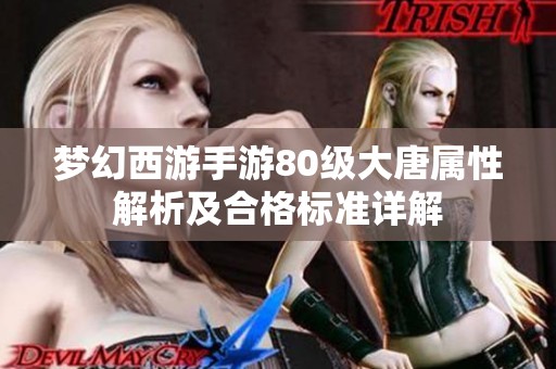 梦幻西游手游80级大唐属性解析及合格标准详解