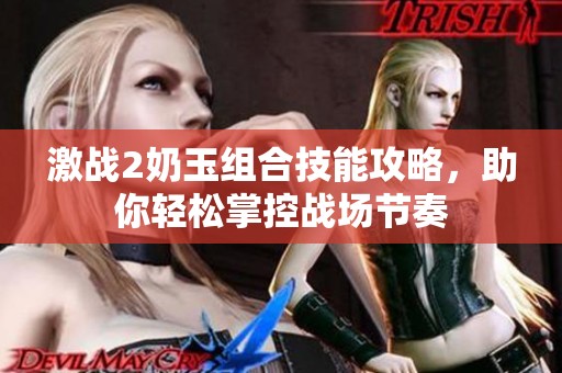 激战2奶玉组合技能攻略，助你轻松掌控战场节奏