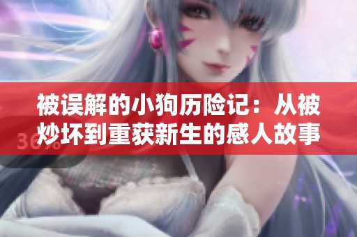 被误解的小狗历险记：从被炒坏到重获新生的感人故事