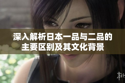 深入解析日本一品与二品的主要区别及其文化背景