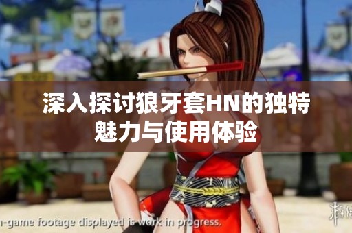深入探讨狼牙套HN的独特魅力与使用体验