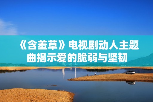 《含羞草》电视剧动人主题曲揭示爱的脆弱与坚韧