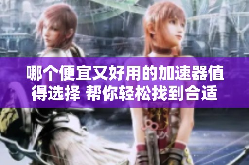哪个便宜又好用的加速器值得选择 帮你轻松找到合适的选项