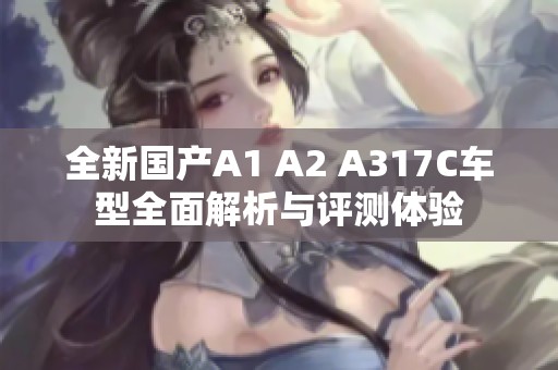 全新国产A1 A2 A317C车型全面解析与评测体验