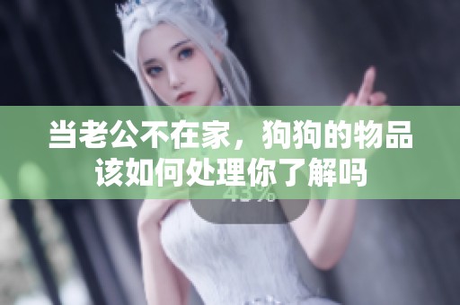 当老公不在家，狗狗的物品该如何处理你了解吗