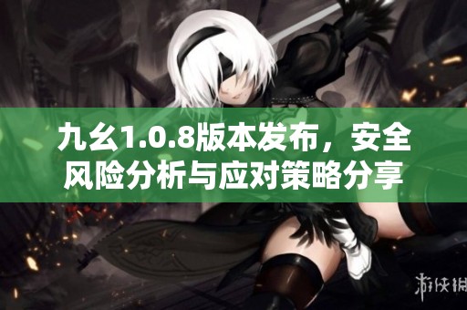 九幺1.0.8版本发布，安全风险分析与应对策略分享