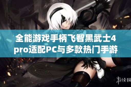 全能游戏手柄飞智黑武士4pro适配PC与多款热门手游推荐