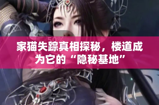家猫失踪真相探秘，楼道成为它的“隐秘基地”