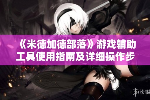 《米德加德部落》游戏辅助工具使用指南及详细操作步骤分享