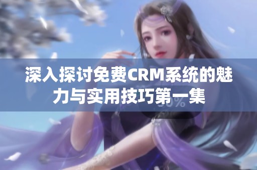 深入探讨免费CRM系统的魅力与实用技巧第一集