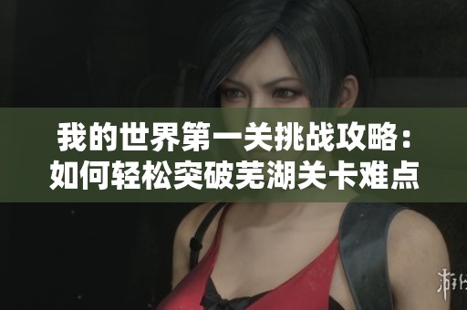 我的世界第一关挑战攻略：如何轻松突破芜湖关卡难点