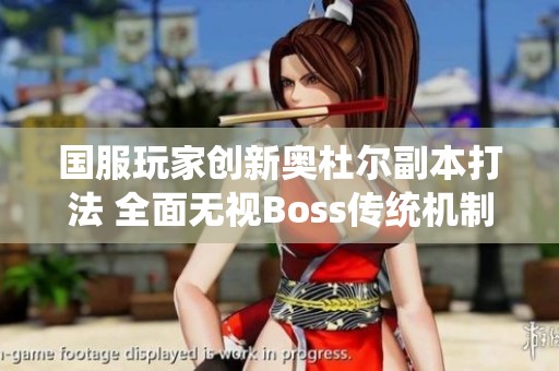 国服玩家创新奥杜尔副本打法 全面无视Boss传统机制