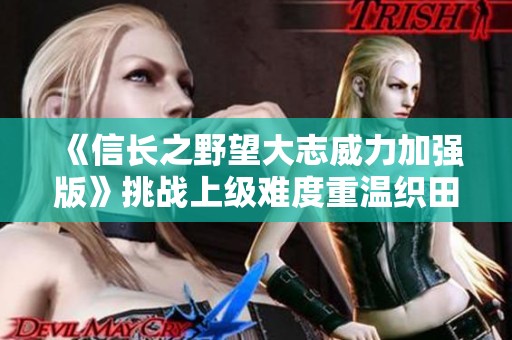 《信长之野望大志威力加强版》挑战上级难度重温织田信长全剧情视频