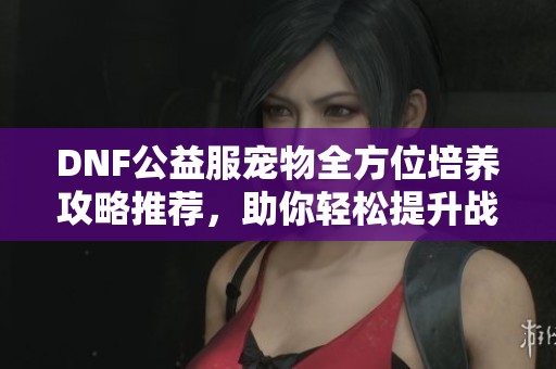 DNF公益服宠物全方位培养攻略推荐，助你轻松提升战力
