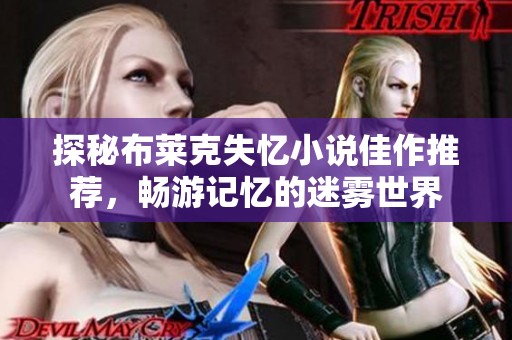 探秘布莱克失忆小说佳作推荐，畅游记忆的迷雾世界