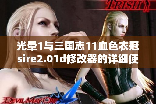 光晕1与三国志11血色衣冠sire2.01d修改器的详细使用指南