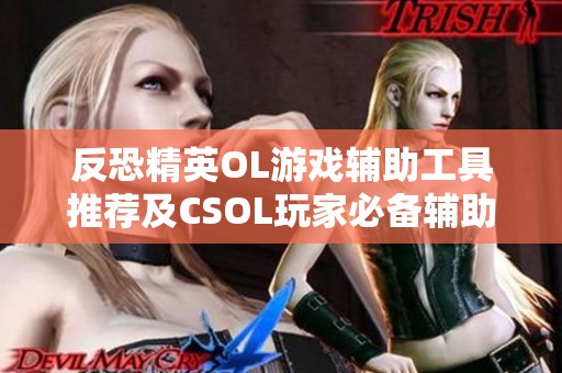 反恐精英OL游戏辅助工具推荐及CSOL玩家必备辅助下载指南