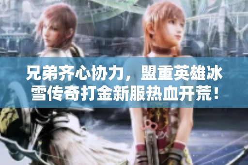 兄弟齐心协力，盟重英雄冰雪传奇打金新服热血开荒！