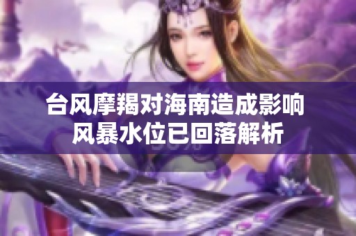 台风摩羯对海南造成影响 风暴水位已回落解析