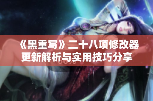 《黑重写》二十八项修改器更新解析与实用技巧分享