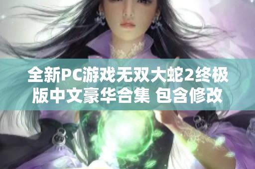全新PC游戏无双大蛇2终极版中文豪华合集 包含修改器全DLC与角色武器
