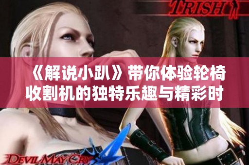 《解说小趴》带你体验轮椅收割机的独特乐趣与精彩时刻