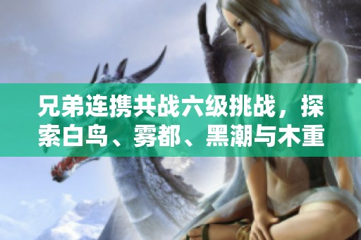 兄弟连携共战六级挑战，探索白鸟、雾都、黑潮与木重的冒险之旅