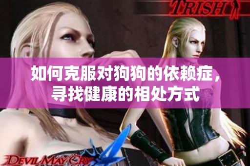如何克服对狗狗的依赖症，寻找健康的相处方式