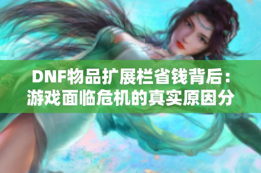 DNF物品扩展栏省钱背后：游戏面临危机的真实原因分析