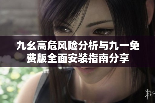 九幺高危风险分析与九一免费版全面安装指南分享