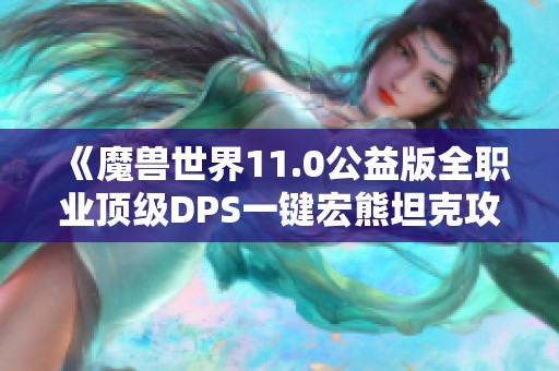 《魔兽世界11.0公益版全职业顶级DPS一键宏熊坦克攻略》