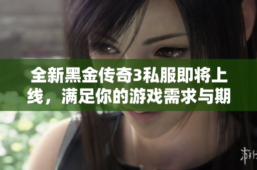 全新黑金传奇3私服即将上线，满足你的游戏需求与期待