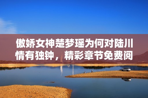 傲娇女神楚梦瑶为何对陆川情有独钟，精彩章节免费阅读来袭