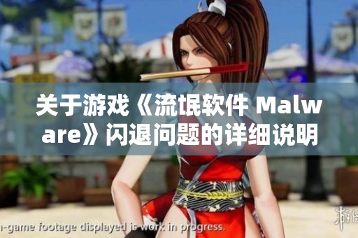 关于游戏《流氓软件 Malware》闪退问题的详细说明与解决方案