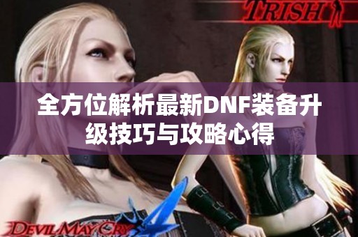 全方位解析最新DNF装备升级技巧与攻略心得