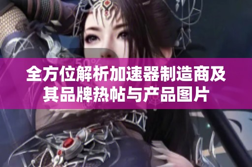 全方位解析加速器制造商及其品牌热帖与产品图片