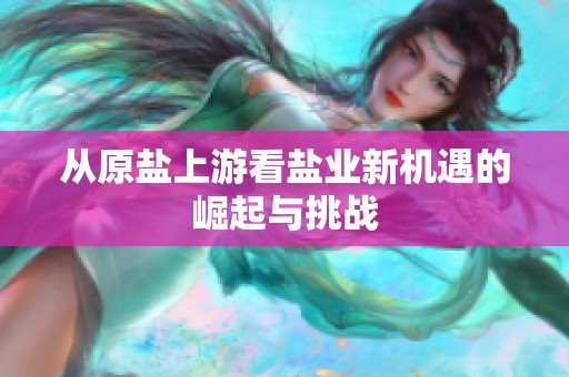 从原盐上游看盐业新机遇的崛起与挑战