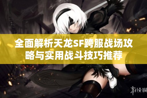 全面解析天龙SF跨服战场攻略与实用战斗技巧推荐