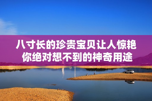 八寸长的珍贵宝贝让人惊艳 你绝对想不到的神奇用途