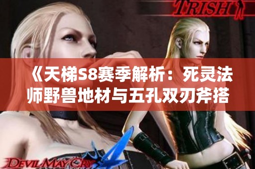 《天梯S8赛季解析：死灵法师野兽地材与五孔双刃斧搭配攻略》