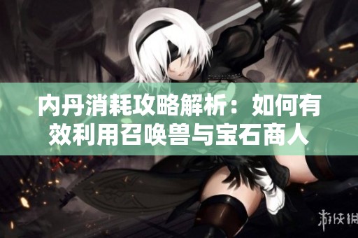 内丹消耗攻略解析：如何有效利用召唤兽与宝石商人