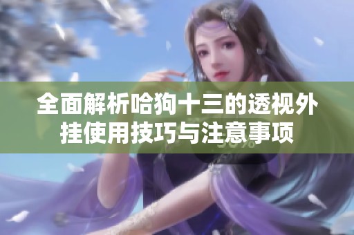 全面解析哈狗十三的透视外挂使用技巧与注意事项