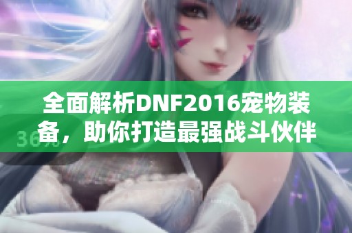 全面解析DNF2016宠物装备，助你打造最强战斗伙伴