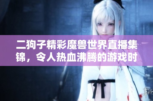 二狗子精彩魔兽世界直播集锦，令人热血沸腾的游戏时刻！