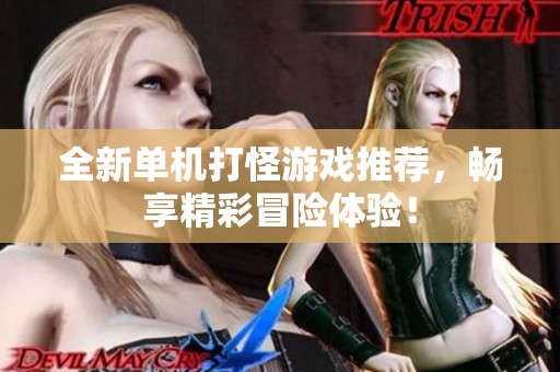 全新单机打怪游戏推荐，畅享精彩冒险体验！