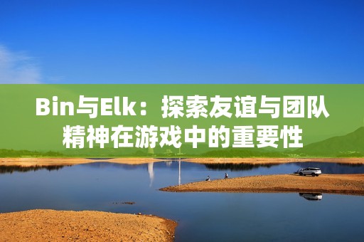 Bin与Elk：探索友谊与团队精神在游戏中的重要性
