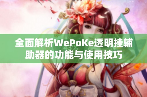 全面解析WePoKe透明挂辅助器的功能与使用技巧